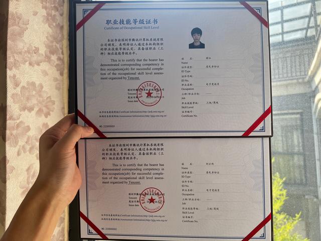 电竞职业保障(电竞职业资格)